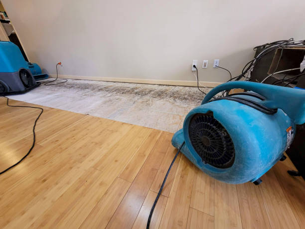 Reliable Basement Flood Cleanup contractor in Marion, WI by Hirex Water Damage