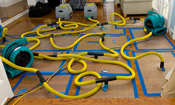 Professional Basement Flood Cleanup technician working in Marion, WI